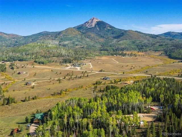 60218 Antelope Way, Clark, CO 80428