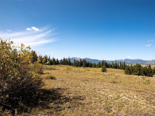 60218 Antelope Way, Clark, CO 80428