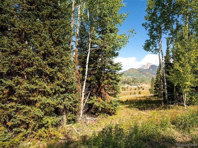 60218 Antelope Way, Clark, CO 80428