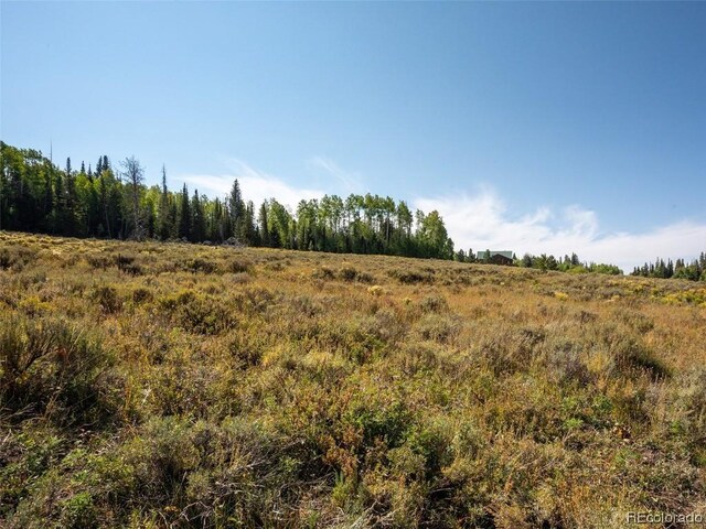 60218 Antelope Way, Clark, CO 80428
