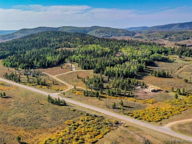 60218 Antelope Way, Clark, CO 80428