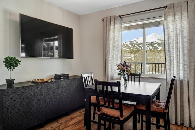 dining space with a wealth of natural light and dark wood-style flooring