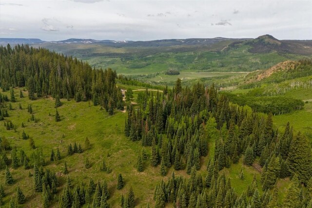 187 Gcr 285, Kremmling, CO 80459