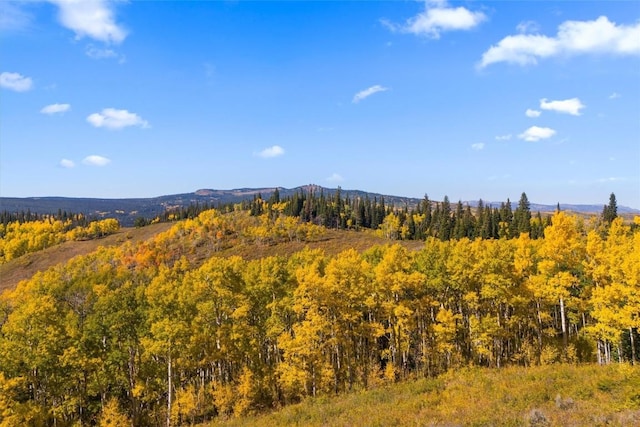 187 Gcr 285, Kremmling, CO 80459