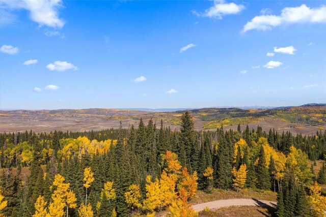 187 Gcr 285, Kremmling, CO 80459