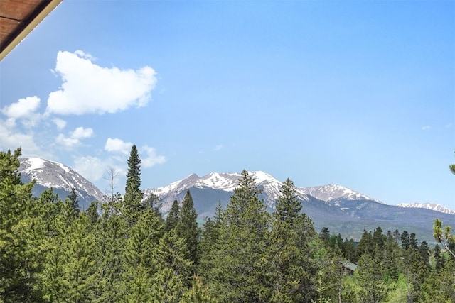 113 Lookout Ridge Dr, Dillon, CO 80435 - mountain view with a forest