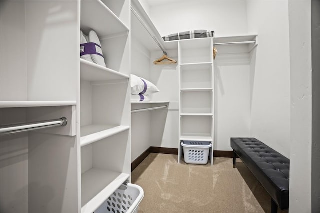 2355 Poma Ln Unit 2355, Steamboat Springs, CO 80487 - spacious closet with carpet flooring