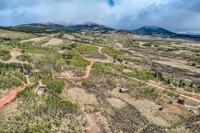 612 Iron Mountain Rd, Fairplay, CO 80440