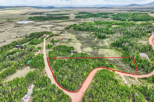 612 Iron Mountain Rd, Fairplay, CO 80440