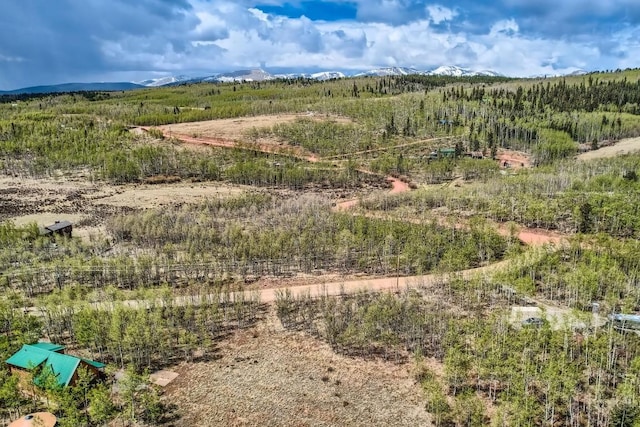 612 Iron Mountain Rd, Fairplay, CO 80440