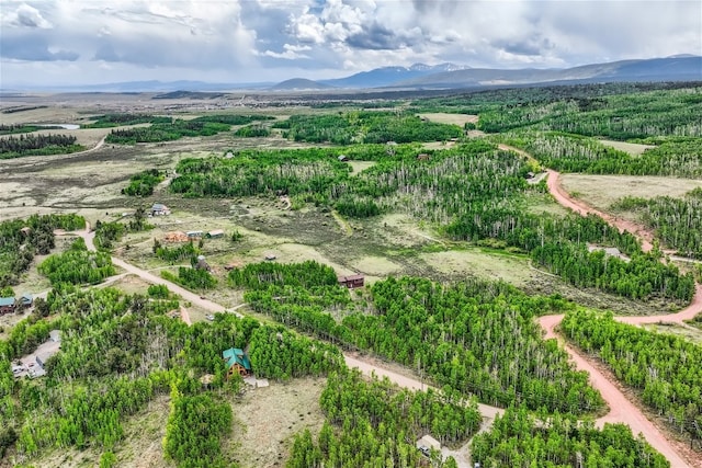 612 Iron Mountain Rd, Fairplay, CO 80440