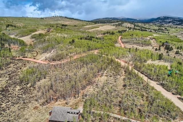 612 Iron Mountain Rd, Fairplay, CO 80440
