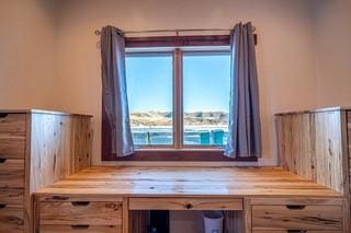527 E Lincoln Ave, Hayden, CO 81639 - unfurnished office featuring built in study area