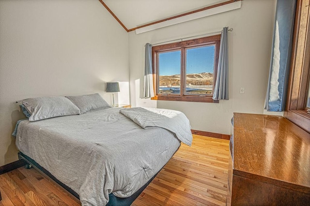 527 E Lincoln Ave, Hayden, CO 81639 - bedroom featuring lofted ceiling, wood finished floors, baseboards, and crown molding