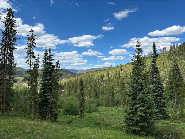 586 Discovery Hill Dr, Breckenridge, CO 80424 - photo 46