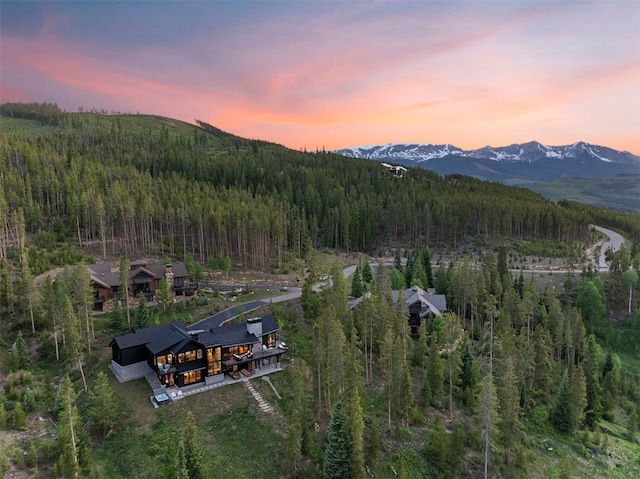 586 Discovery Hill Dr, Breckenridge, CO 80424 - photo 4