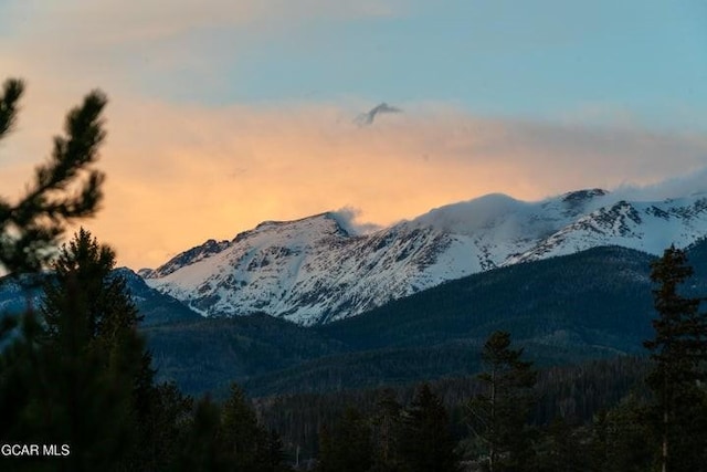 671 Vasquez Rd, Winter Park, CO 80482 - mountain view with a forest