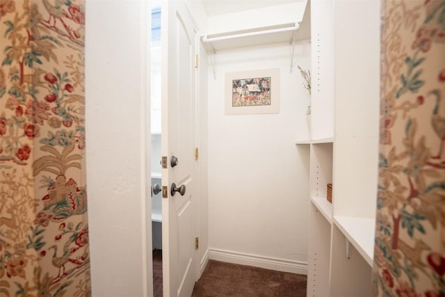 765 Columbine Rd Unit C203, Breckenridge, CO 80424 - corridor featuring carpet and baseboards