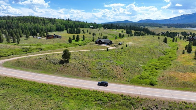 26090 Horse Shoe Ln, Clark, CO 80428 - photo 10