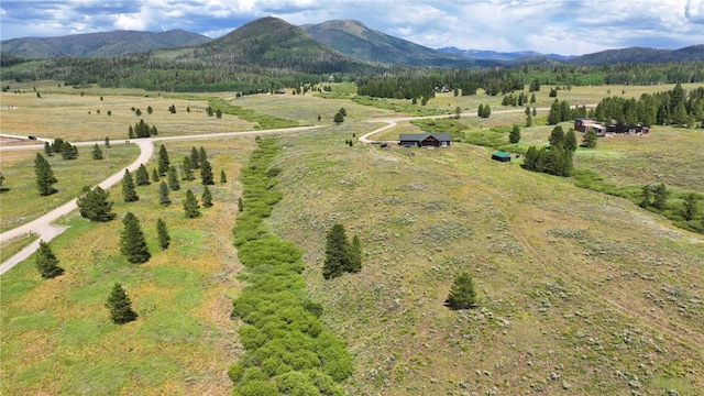 26090 Horse Shoe Ln, Clark, CO 80428 - photo 7