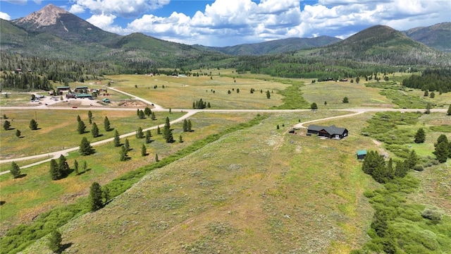 26090 Horse Shoe Ln, Clark, CO 80428 - photo 4
