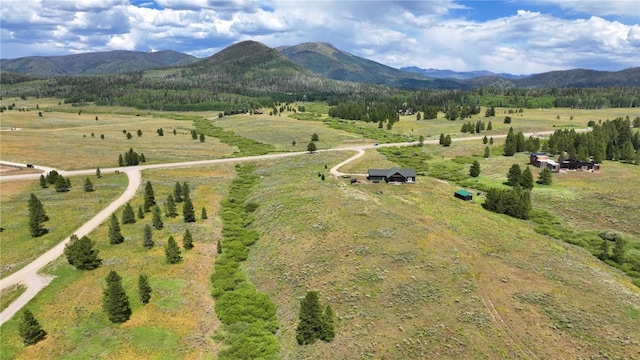 26090 Horse Shoe Ln, Clark, CO 80428 - photo 5