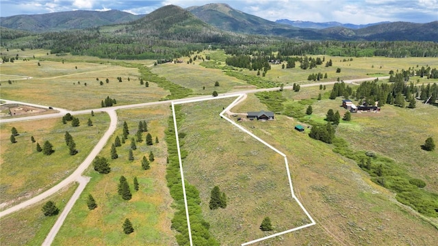 26090 Horse Shoe Ln, Clark, CO 80428 - photo 6
