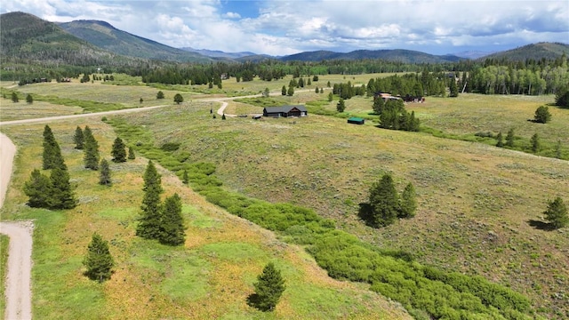 26090 Horse Shoe Ln, Clark, CO 80428 - photo 14