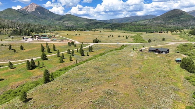 26090 Horse Shoe Ln, Clark, CO 80428 - photo 8