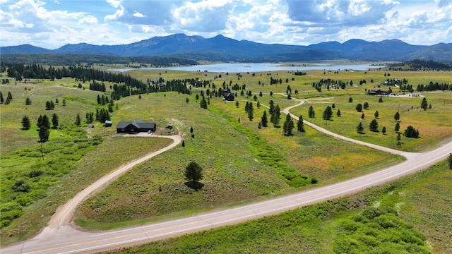 26090 Horse Shoe Ln, Clark, CO 80428 - photo 11