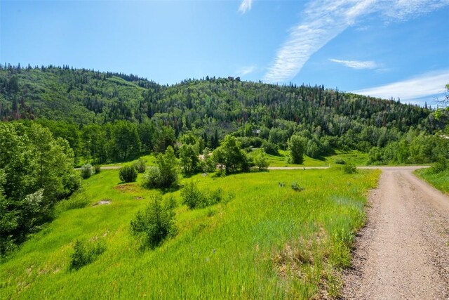 33635 Sky Valley Dr, Steamboat Springs, CO 80487