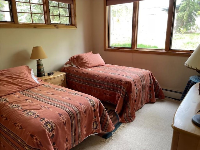 2300 Apres Ski Way Unit 12, Steamboat Springs, CO 80487 - carpeted bedroom with baseboard heating