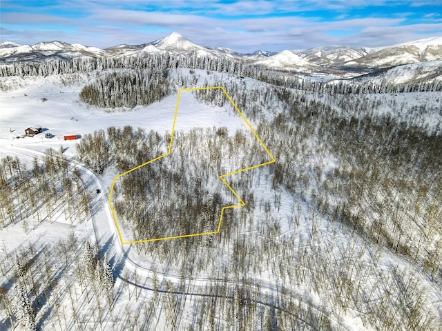 26320 Beaver Canyon Dr, Clark, CO 80428 - photo 12
