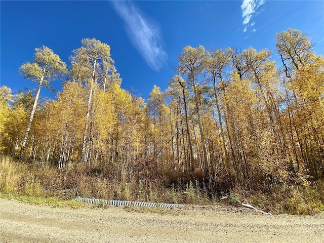 26320 Beaver Canyon Dr, Clark, CO 80428 - photo 5