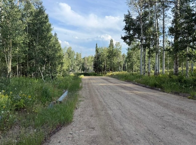26320 Beaver Canyon Dr, Clark, CO 80428 - photo 4