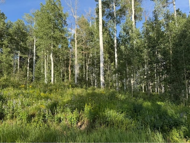 26320 Beaver Canyon Dr, Clark, CO 80428 - photo 3