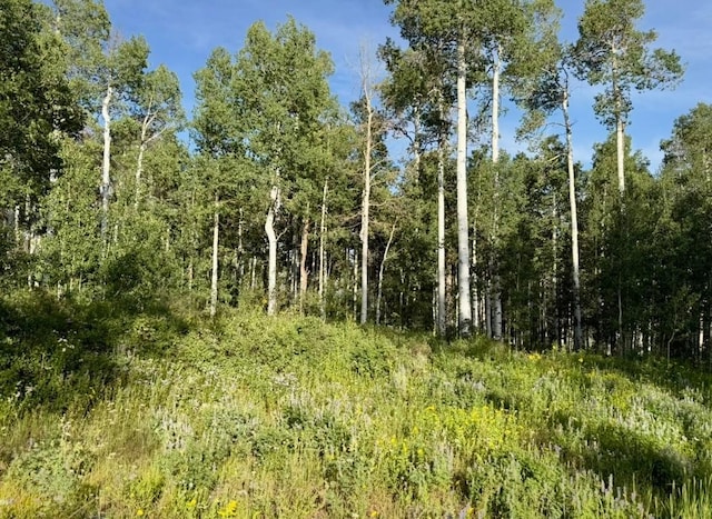 26320 Beaver Canyon Dr, Clark, CO 80428 - photo 6