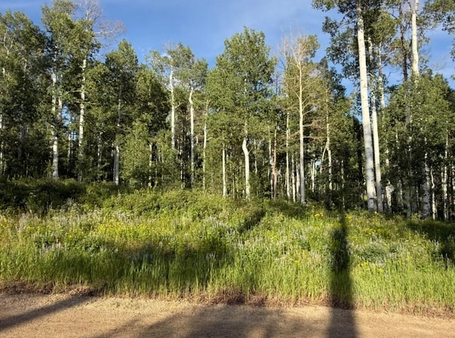 26320 Beaver Canyon Dr, Clark, CO 80428 - photo 1