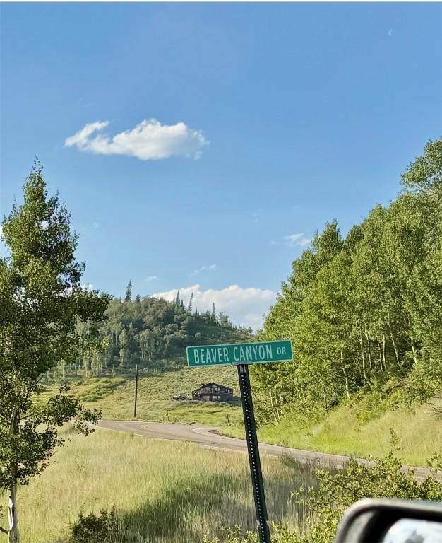 26320 Beaver Canyon Dr, Clark, CO 80428 - photo 18