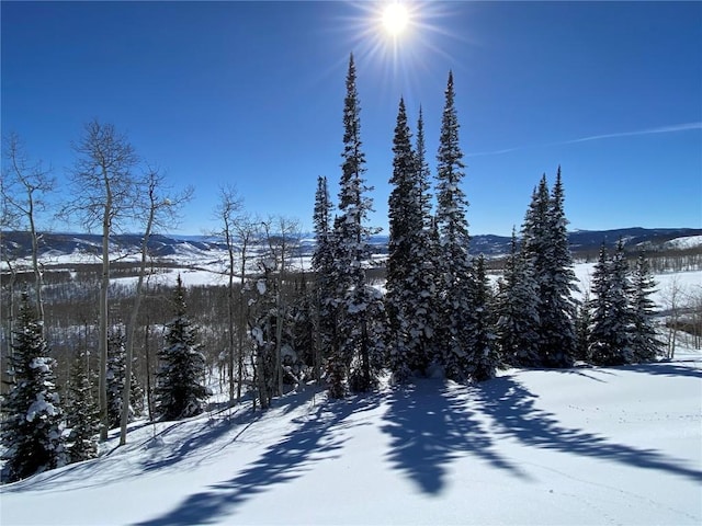 26320 Beaver Canyon Dr, Clark, CO 80428 - photo 13