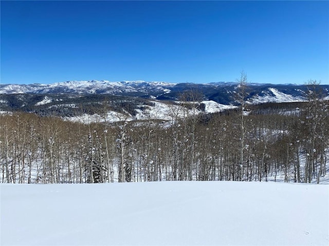 26320 Beaver Canyon Dr, Clark, CO 80428 - photo 14