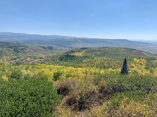 26320 Beaver Canyon Dr, Clark, CO 80428 - photo 15