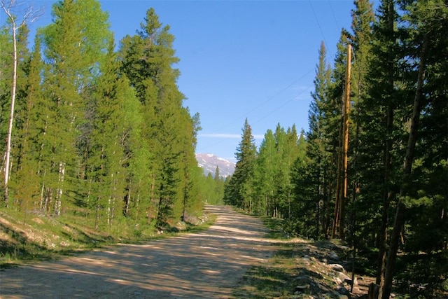 0 Kens Rd, Fairplay, CO 80440 - photo 3