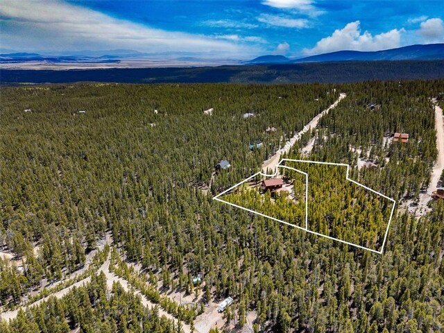 115 Trails End, Fairplay, CO 80440 - photo 49