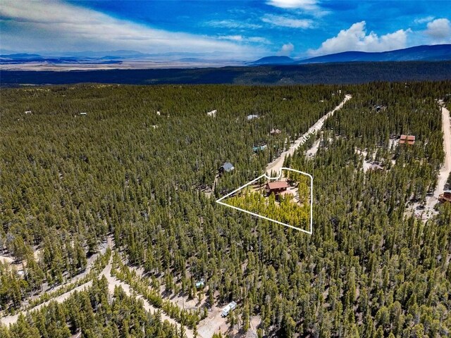115 Trails End, Fairplay, CO 80440 - photo 48