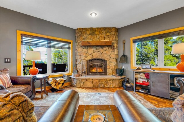 115 Trails End, Fairplay, CO 80440 - photo 13