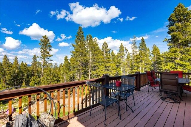 115 Trails End, Fairplay, CO 80440 - photo 20