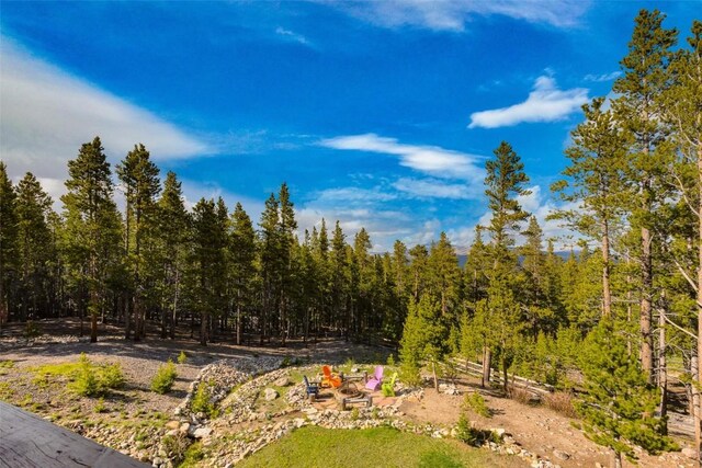 115 Trails End, Fairplay, CO 80440 - photo 22