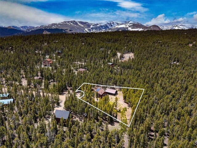 115 Trails End, Fairplay, CO 80440 - photo 47