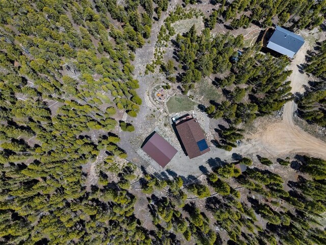 115 Trails End, Fairplay, CO 80440 - photo 3